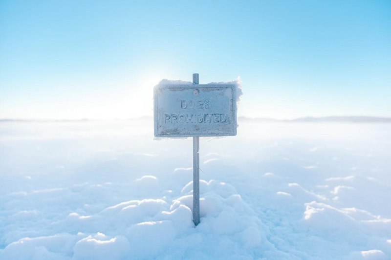 🇦🇶 Остров, где собаки запрещены законом