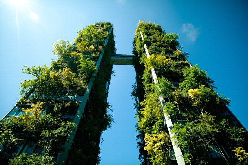 🇮🇹Город, где небоскрёб — это дерево